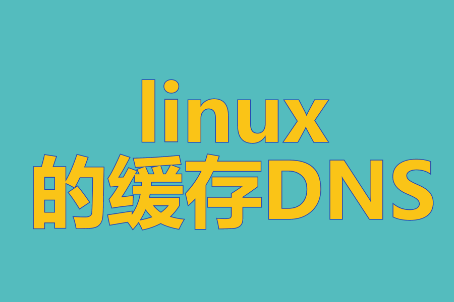 linux的缓存DNS